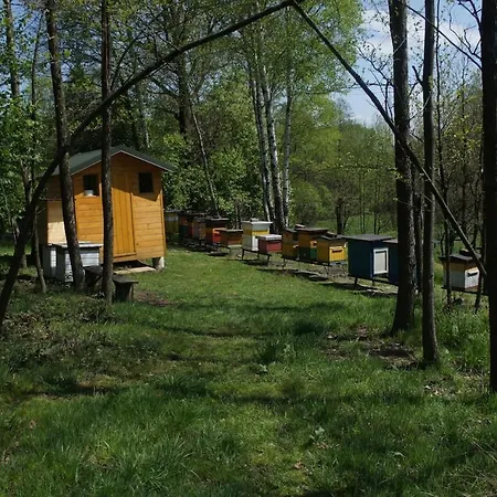 Pszczela Oaza Campsite